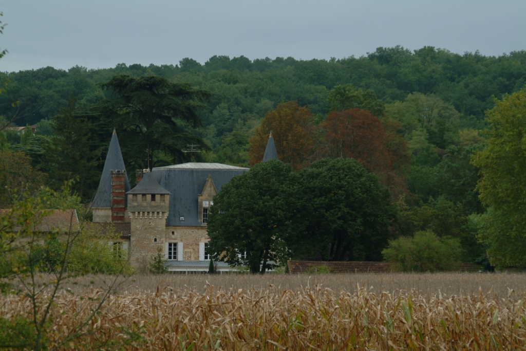 the fields behind the Chateau.